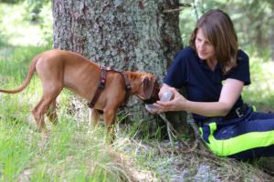 2018 Ausbildungswoche Arber